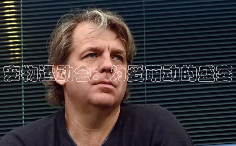 极悦娱乐网页版入口