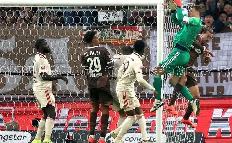 极悦app官网入口