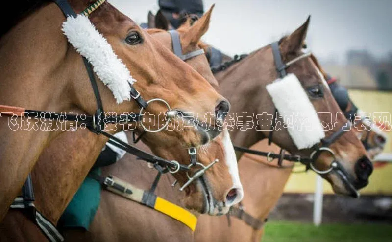 极悦游戏登录入口